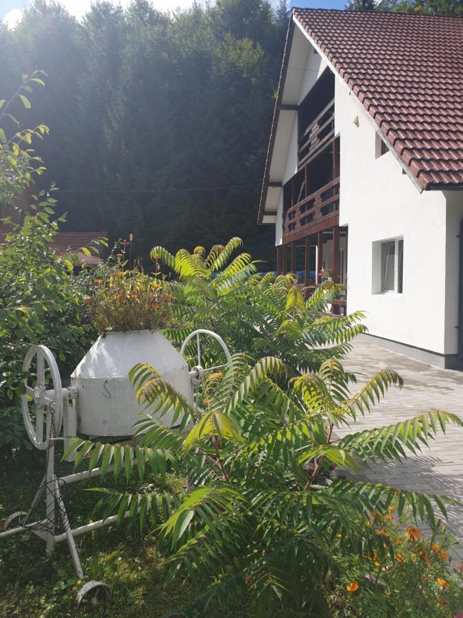 Casa Maia Apartment Cartisoara Luaran gambar
