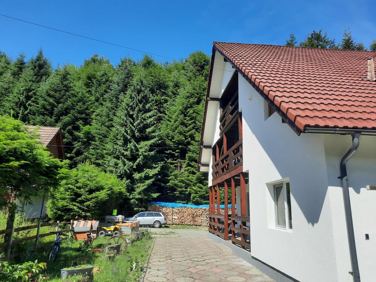 Casa Maia Apartment Cartisoara Luaran gambar