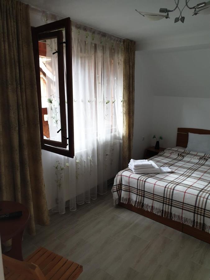 Casa Maia Apartment Cartisoara Luaran gambar