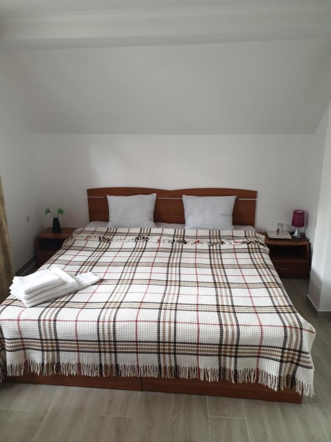 Casa Maia Apartment Cartisoara Luaran gambar