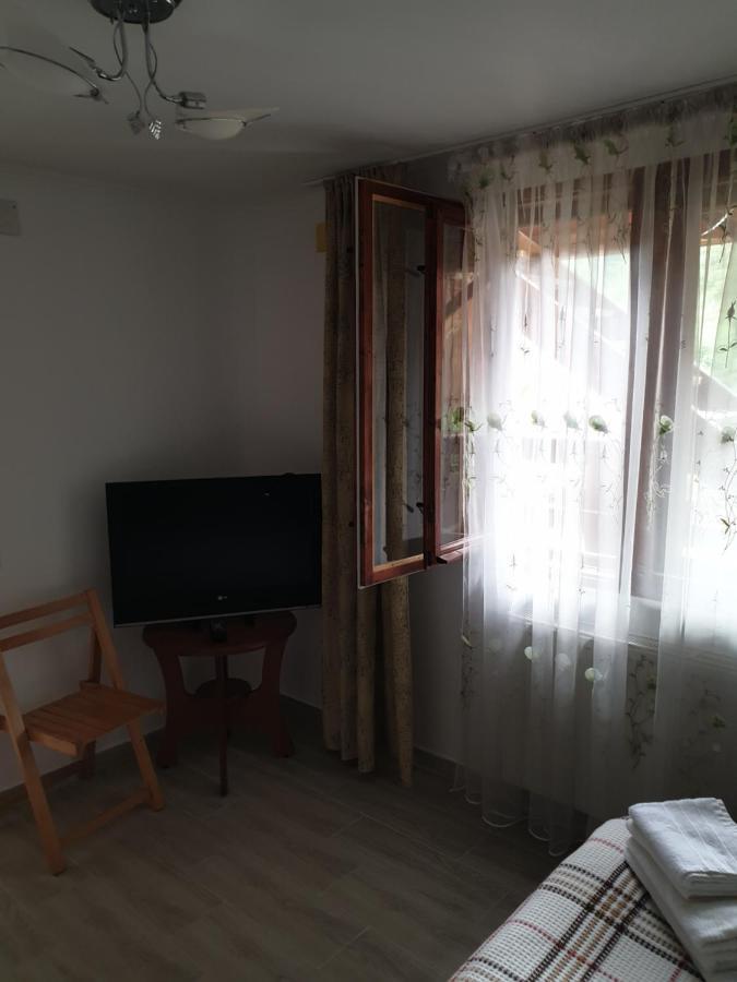 Casa Maia Apartment Cartisoara Luaran gambar