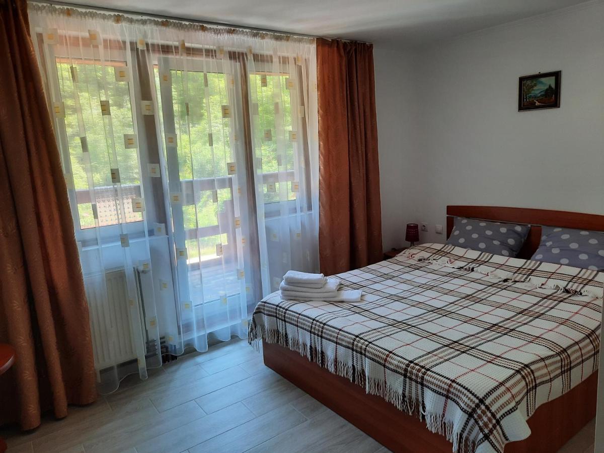 Casa Maia Apartment Cartisoara Luaran gambar