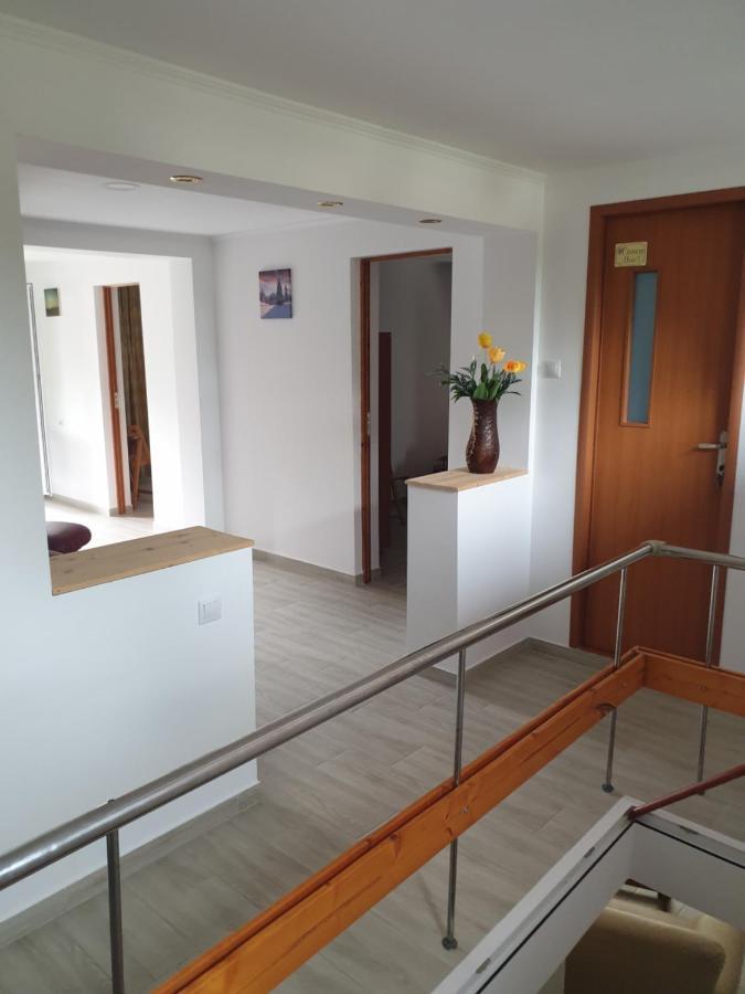 Casa Maia Apartment Cartisoara Luaran gambar