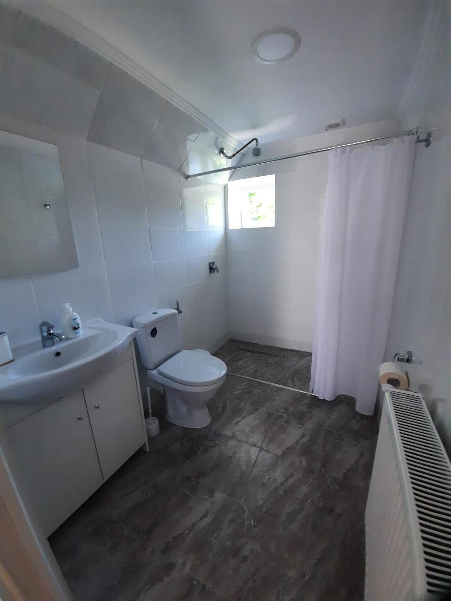 Casa Maia Apartment Cartisoara Luaran gambar